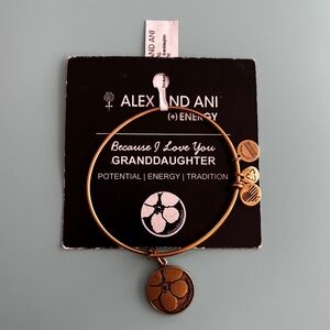 Alex and Ani Because I Love You Granddaughter